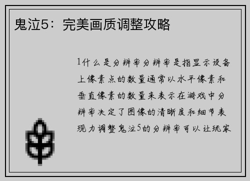 鬼泣5：完美画质调整攻略